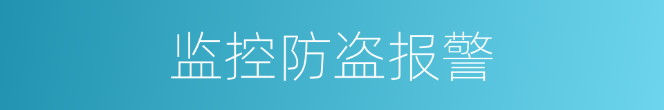监控防盗报警的同义词