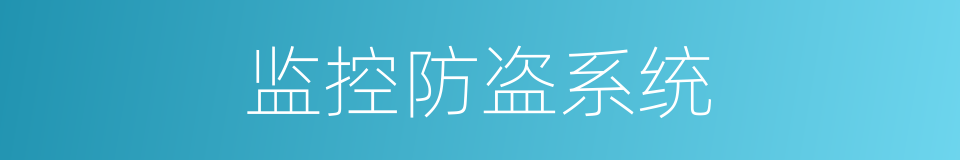 监控防盗系统的同义词