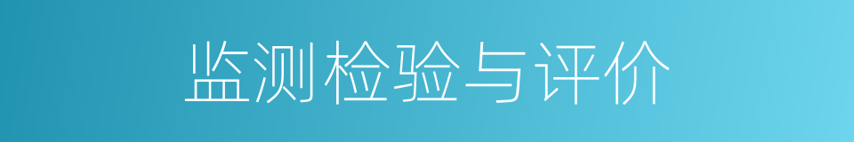 监测检验与评价的同义词