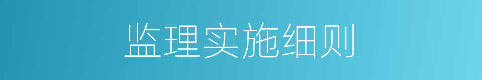监理实施细则的同义词
