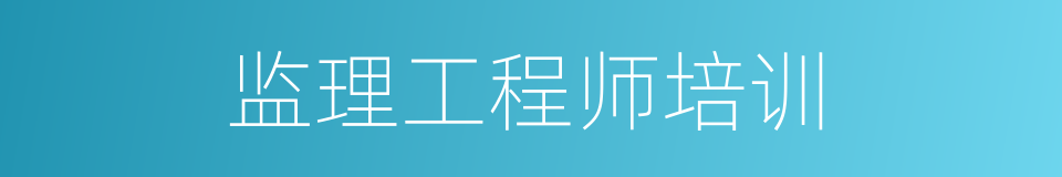 监理工程师培训的同义词