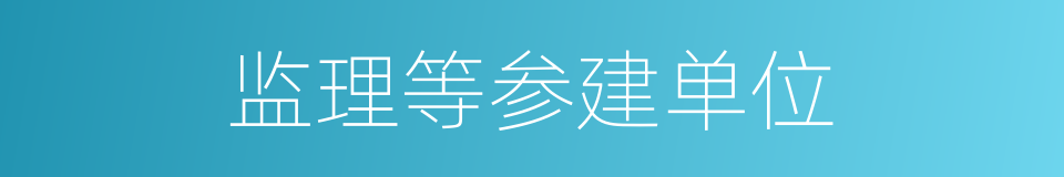 监理等参建单位的同义词