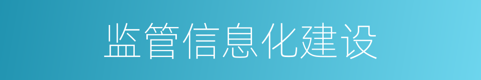 监管信息化建设的同义词