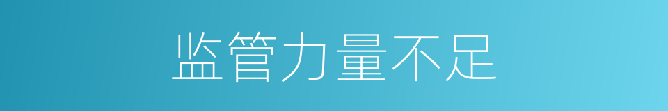 监管力量不足的同义词
