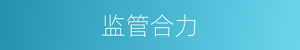 监管合力的同义词