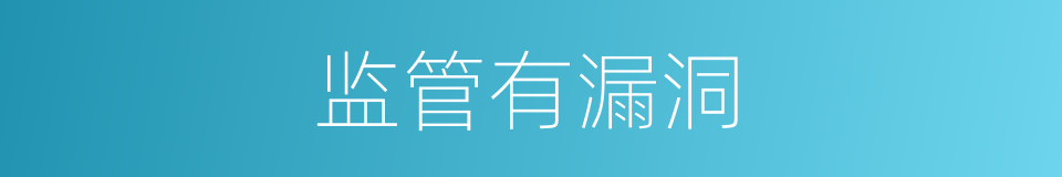 监管有漏洞的同义词