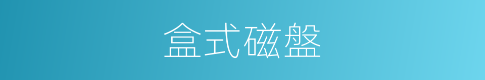 盒式磁盤的同義詞