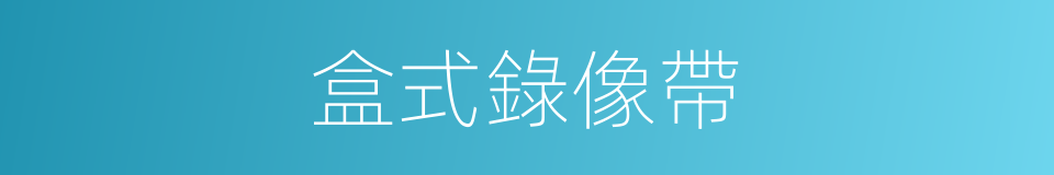 盒式錄像帶的同義詞