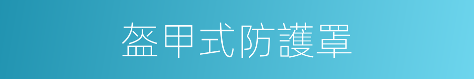 盔甲式防護罩的同義詞