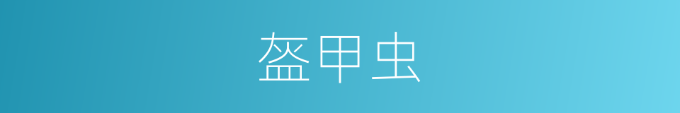 盔甲虫的同义词