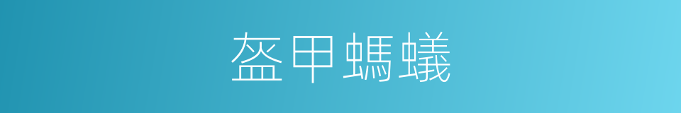 盔甲螞蟻的同義詞