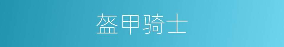 盔甲骑士的同义词