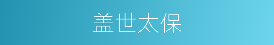 盖世太保的意思