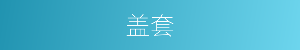 盖套的同义词