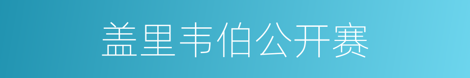 盖里韦伯公开赛的同义词