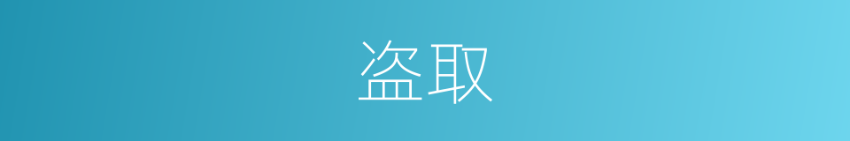 盗取的意思