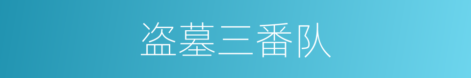 盗墓三番队的同义词