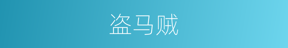 盗马贼的同义词