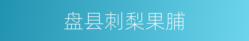 盘县刺梨果脯的同义词