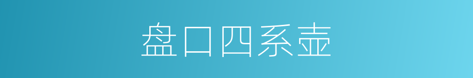 盘口四系壶的同义词