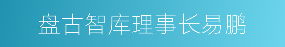 盘古智库理事长易鹏的同义词