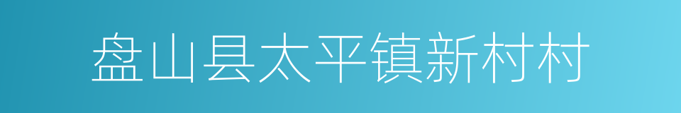 盘山县太平镇新村村的同义词