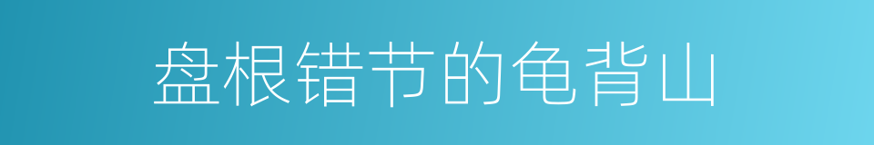 盘根错节的龟背山的同义词