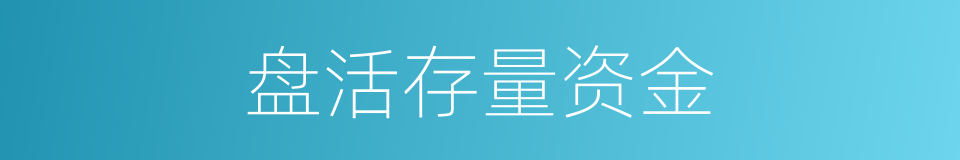 盘活存量资金的同义词