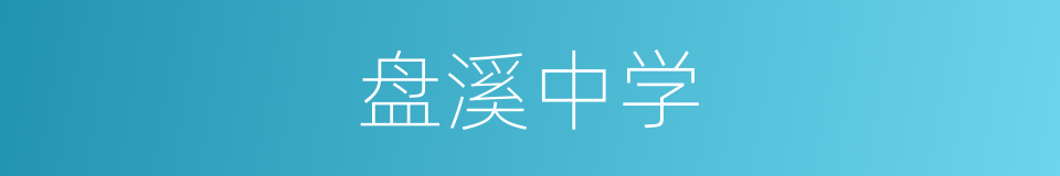 盘溪中学的同义词