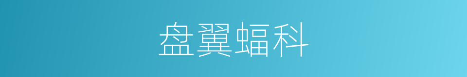 盘翼蝠科的意思