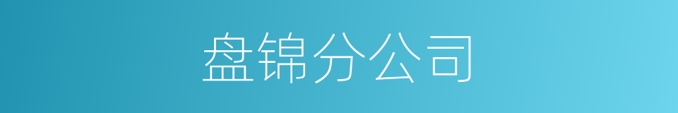 盘锦分公司的同义词