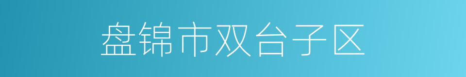 盘锦市双台子区的同义词
