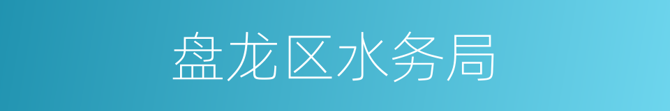 盘龙区水务局的同义词