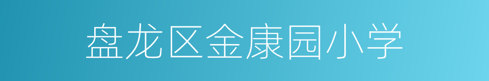 盘龙区金康园小学的同义词