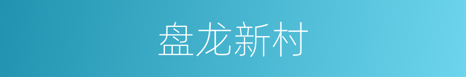 盘龙新村的同义词
