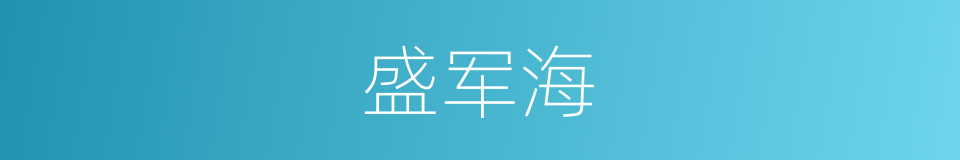 盛军海的同义词