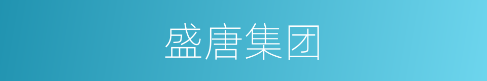 盛唐集团的同义词