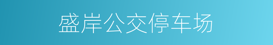 盛岸公交停车场的同义词