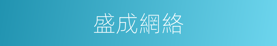 盛成網絡的同義詞