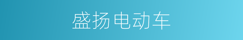 盛扬电动车的同义词