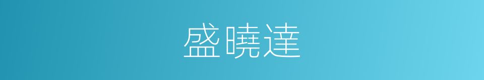 盛曉達的同義詞