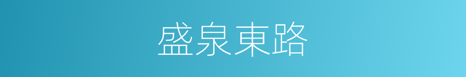 盛泉東路的同義詞