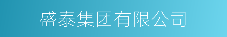 盛泰集团有限公司的同义词
