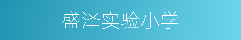 盛泽实验小学的同义词