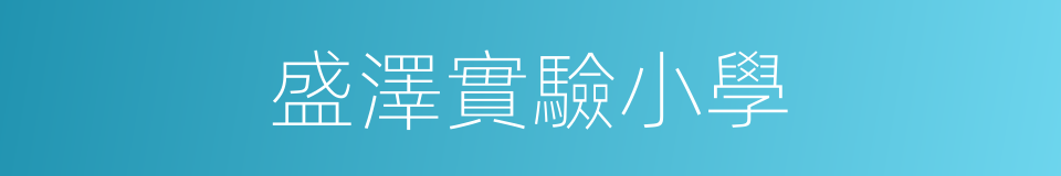 盛澤實驗小學的同義詞