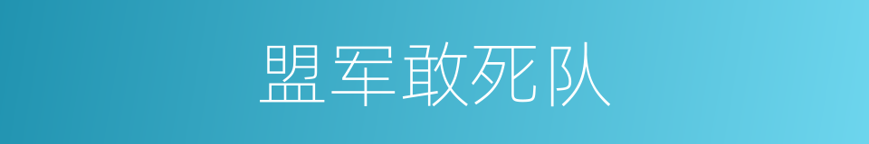 盟军敢死队的同义词