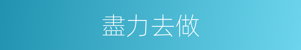 盡力去做的同義詞