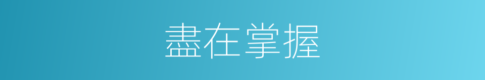盡在掌握的同義詞