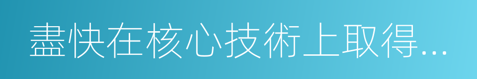 盡快在核心技術上取得突破的同義詞