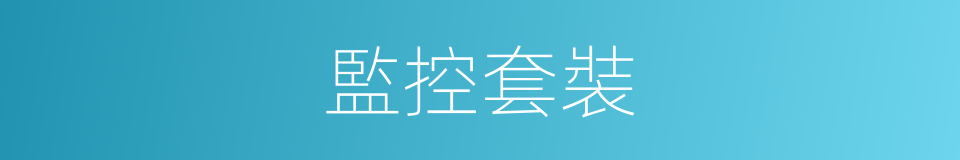 監控套裝的同義詞